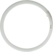 ΛΑΜΠΤΗΡΑΣ GEYER ΦΘΟΡΙΟΥ ΚΥΚΛΙΚΗ T9 40W G10Q 6500K