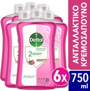 DETTOL DETTOL LIQUID SOAP WILD BERRY REFILL 750 ML X6