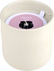 ESTIA ΑΡΩΜΑΤΙΚΟ ΚΕΡΙ GINGER LILY 289G 04-36508