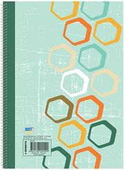 JUSTNOTE ΤΕΤΡΑΔΙΟ ΣΠΙΡΑΛ 4 ΘΕΜΑΤΩΝ Α4 ΠΛΑΣΤΙΚΟ ΕΞΩΦΥΛΛΟ A4 JUSTNOTE 104146 ΠΡΑΣΙΝΟ