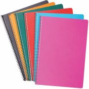 ΤΕΤΡΑΔΙΟ ΣΠΙΡΑΛ 50ΦΥΛΛΑ 17X25CM JUSTNOTE 10424 ΔΙΑΦ/ΧΡΩΜΑΤΑ