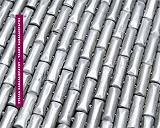 ΚΑΒΑΛΛΙΕΡΑΤΟΥ ΣΤΕΛΛΑ, ΚΑΒΑΛΛΙΕΡΑΤΟΣ ΤΑΚΗΣ ΣΤΕΛΛΑ ΚΑΒΑΛΛΙΕΡΑΤΟΥ-ΤΑΚΗΣ ΚΑΒΑΛΛΙΕΡΑΤΟΣ