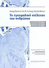 ΠΑΞΙΝΟΣ ΓΙΩΡΓΟΣ, ΦΕΡΛΟΝΓΚ ΤΕΡΙ, ΓΟΥΑΤΣΟΝ ΤΣΑΡΛΣ ΤΟ ΕΓΚΕΦΑΛΙΚΟ ΣΤΕΛΕΧΟΣ ΤΟΥ ΑΝΘΡΩΠΟΥ