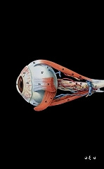 ΑΛΝΤΑΠΟΥΕΡΤΑ ΤΖΙΣΟΥΣ ΙΓΚΝΑΣΙΟ ΜΑΤΙΑ