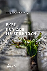 ΠΑΝΤΕΛΙΔΗΣ ΣΤΕΦΑΝΟΣ ΕΚΕΙ ΠΟΥ ΔΕΝ ΜΕ ΣΠΕΡΝΟΥΝ