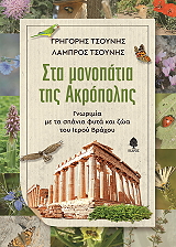 ΤΣΟΥΝΗΣ ΓΡΗΓΟΡΗΣ, ΤΣΟΥΝΗΣ ΛΑΜΠΡΟΣ ΣΤΑ ΜΟΝΟΠΑΤΙΑ ΤΗΣ ΑΚΡΟΠΟΛΗΣ