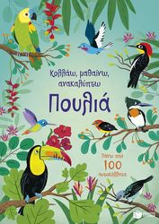 BINGHAM JANE ΠΟΥΛΙΑ