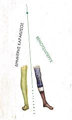 ΚΑΡΑΚΙΤΣΟΣ ΔΗΜΗΤΡΗΣ ΒΕΝΟΥΣΜΠΕΡΓΚ