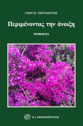 ΞΥΡΟΧΩΡΙΤΗΣ ΓΙΩΡΓΟΣ ΠΕΡΙΜΕΝΟΝΤΑΣ ΤΗΝ ΑΝΟΙΞΗ