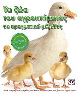 ΤΑ ΖΩΑ ΤΟΥ ΑΓΡΟΚΤΗΜΑΤΟΣ ΣΕ ΠΡΑΓΜΑΤΙΚΟ ΜΕΓΕΘΟΣ