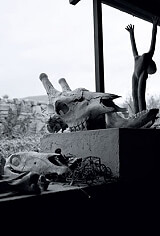 ΓΚΟΡΝΤΙΜΕΡ ΝΑΝΤΙΝ Ο ΣΥΝΤΗΡΗΤΗΣ