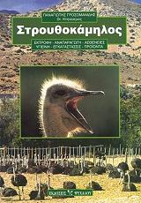 ΓΡΟΣΟΜΑΝΙΔΗΣ ΠΑΝΑΓΙΩΤΗΣ ΣΤΡΟΥΘΟΚΑΜΗΛΟΣ