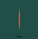 ΜΙΤΣΟΤΑΚΗ ΡΟΥΜΠΙΝΗ ΙΣΟΡΡΟΠΙΕΣ