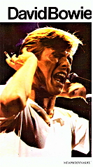 Ο DAVID BOWIE ΚΑΙ ΤΑ ΤΡΑΓΟΥΔΙΑ ΤΟΥ