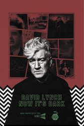 ΣΥΛΛΟΓΙΚΟ ΕΡΓΟ DAVID LYNCH NOW IT S DARK