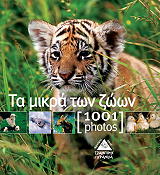 ΤΑ ΜΙΚΡΑ ΤΩΝ ΖΩΩΝ 1001 PHOTOS