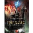 bifrost the path of warriors photo bifrost the path of warriors photo
