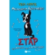 akadimia koytabion i star sto boyno ton kataigidon photo akadimia koytabion i star sto boyno ton kataigidon photo