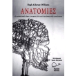 anatomies photo anatomies photo