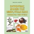 koyrkoymas prasino tsai piperi fylla elias photo koyrkoymas prasino tsai piperi fylla elias photo