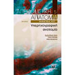 apeikonistiki anatomia photo apeikonistiki anatomia photo