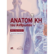 anatomia toy anthropoy photo anatomia toy anthropoy photo