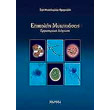 epipolis mykitiaseis photo epipolis mykitiaseis photo