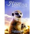 i zoi me tis soyrikates i arxi tis istorias dvd meercat manor the story begins dvd photo i zoi me tis soyrikates i arxi tis istorias dvd meercat manor the story begins dvd photo