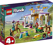 LEGO FRIENDS 41746 HORSE TRAINING