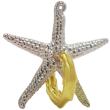 starfish photo starfish photo