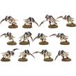 tyranid hormagaunt brood photo tyranid hormagaunt brood photo