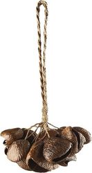 SONIC ENERGY SPGRS PANGI SHAKER SMALL