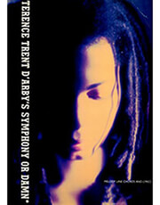 TRENT D' ARBY TERENCE - SYMPHONY OR DAMN