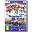 f1 race stars photo f1 race stars photo
