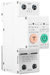 COOLSEER COOLSEER WIFI SMART SWITCH 2P WITH POWER METER AND LEAKAGE PROTECTION COL-SLW2-63