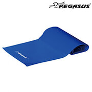 PEGASUS ΛΑΣΤΙΧΟ ΕΝΔΥΝΑΜΩΣΗΣ ΚΟΡΔΕΛΑ (HEAVY)