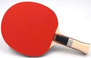SUNFLEX ΡΑΚΕΤΑ PING PONG SUNFLEX PLUS A13