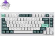 KEYCHRON ΠΛΗΚΤΡΟΛΟΓΙΟ KEYCHRON Q1 HE Q1H-P1 QMK WHITE WIRELESS CUSTOM HALL EFFECT PURPLE SWITCH 75% US