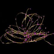 100 LED ΜΩΒ 8 MOTIBA 5Μ ΕΣΩΤ AND ΕΞΩΤ ΧΩΡΟΥ