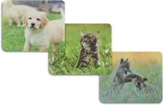 HAMA MOUSE PAD HAMA ''ANIMAL'' (12 ΤΕΜ ΣΕ DISPLAY)