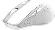 TRUST NITO SILENT WIRELESS MOUSE WHITE