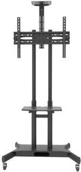 FOCUS MOUNT TV STAND FOCUS MOUNT FIXED T633