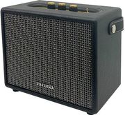 AIWA AIWA PRO BT SPEAKER WITH RC RMS 55W BLACK RSXPRO55/BK