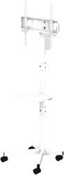 GEMBIRD TV FLOOR STAND TILT WITH CASTER WHEELS 32'-55' WHITE TVS-55T-03-W