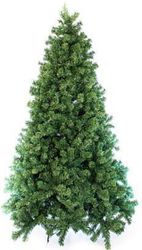 EUROLAMP ΕΛΑΤΟ ΠΑΙΚΟ PVC 180CM 600-30086