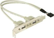 DELOCK 10PIN USB - 2X USB 2.0 FEMALE