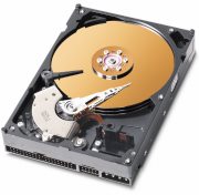 WD Caviar 160 GB (WD1600JB) WD Caviar 160 GB (WD1600JB)