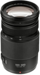 PANASONIC PANASONIC LUMIX G VARIO 100-300MM / F4.0-5.6 II / POWER O.I.S