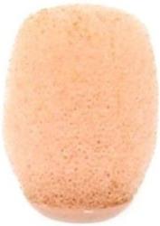 RODE RODE WS-HS1-P POP FILTER/WIND SHIELD PINK