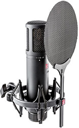 ΕΠΑΓΓΕΛΜΑΤΙΚΟ ΜΙΚΡΟΦΩΝΟ SE ELECTRONICS SE2200 ΠΥΚΝΩΤΙΚΟ